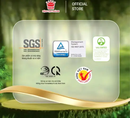 Nệm Cao Su VẠN THÀNH STANDARD