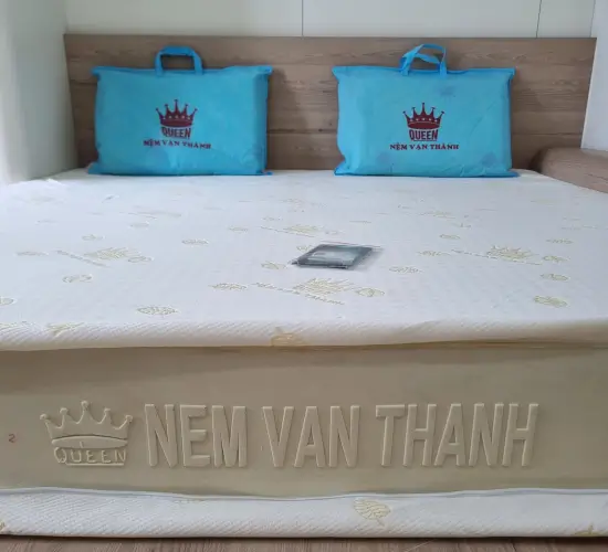 Nệm cao su VẠN THÀNH SEGOVIA