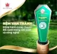 Nệm Cao Su VẠN THÀNH UNIQUE